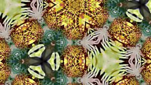 Видеофоны! Видеофон Осенняя цветочная фантазия 4 от Киностудии Мудрого Кота Тимофея!