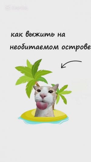 КОТЯТА ОБЪЯСНЯЮТ / Как выжить на Необитаемом Острове? / Кто такие Инфоцигане?