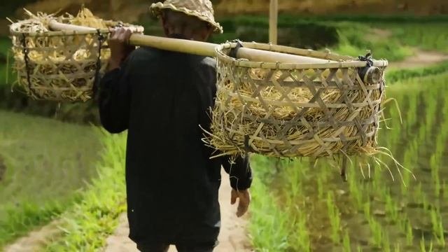 Очень красивое видео о природе и мире