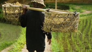 Очень красивое видео о природе и мире