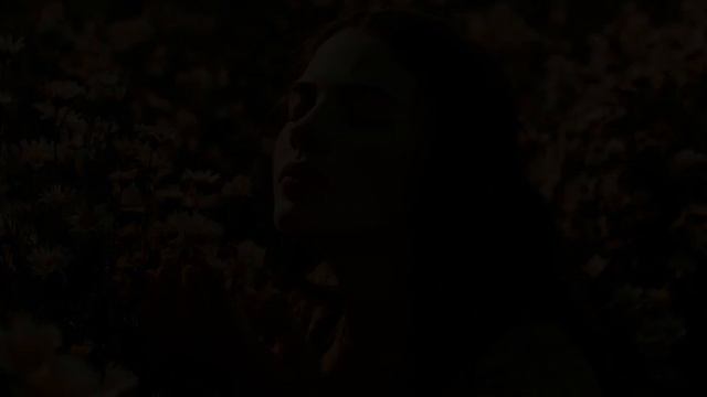 Ромашковое поле