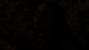 Ромашковое поле