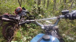 На восходе через лес, кругом завалы и джунгли