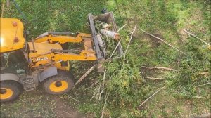 Как убирают спиленные деревья.