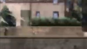 Курама врезал Сакуре.