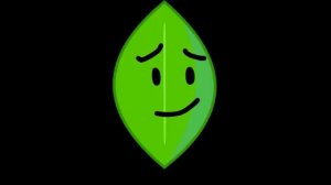 WHICH IS BETTER: BLOCKY VS LEAFY