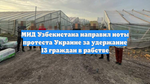 МИД Узбекистана направил ноты протеста Украине за удержание 13 граждан в рабстве