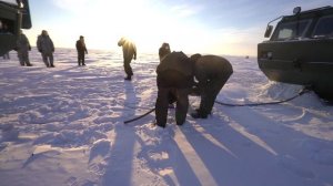 Полыня-Арктика-Спасение