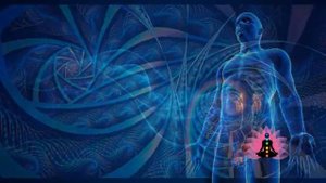 Сайт Гаряев-Матрицы.РФ Сентябрь-2025 CDГаряев-оригинальная-Программа-№6-МУЖСКАЯ-ЛИНИЯ-⚠️-Оригинальна