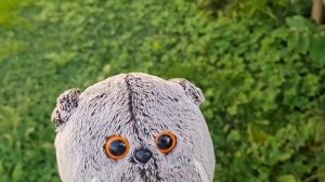 басие на улице на выходных после школы