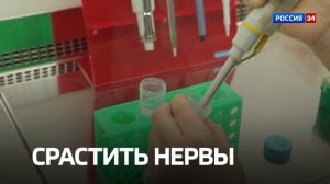 Промо | Инновации: сделано в России