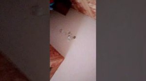 подпишись