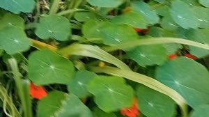 На небе #Облако#Рай#Андрей#Жигалов