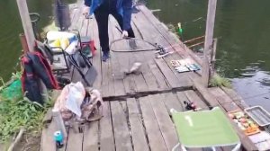 На блесну