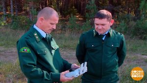 Хранители леса. Доброе утро. Суббота. Фрагмент выпуска от 20.09.2025