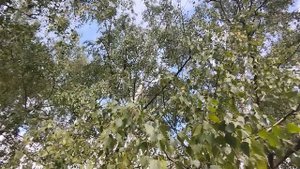 Обычные дни! Хмурые или солнечные!
Вяжу🧶