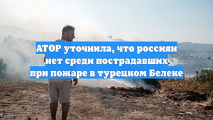 АТОР уточнила, что россиян нет среди пострадавших при пожаре в турецком Белеке