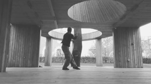 Фрагмент Янши Тайцзицюань