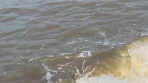 Где можно покататься на водном мотоцикле в Голубицкой