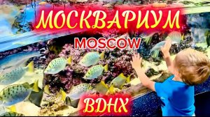 Москвариум Лучший Океанариум Развлечения в Москве ! Что посмотреть