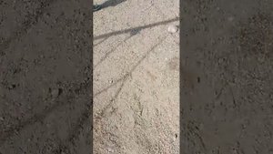 наша магнитная рыбалка