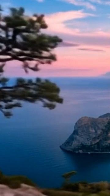 Красоты Крыма .Сосна #жизньнаморекрым #крым #море смотреть онлайн