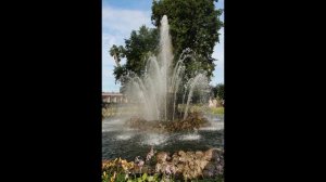 Петергоф Санкт Петергбург ROADCONTROL159