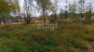 9827331 СТ Виктория 0