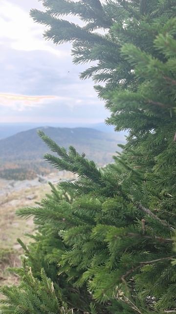 Уреньга осень 2025.mp4 смотреть онлайн