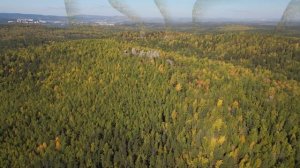 Семь братьев