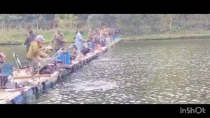Поимки Форели