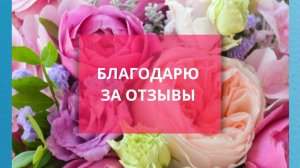 Отзыв Аллы Прокопец о Базовом курсе обучения регрессологии