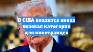 В США вводится новая визовая категория для иностранцев