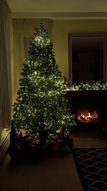 Ёлку поставили 😍😁 смотреть онлайн