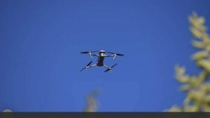 Эксперт предрек расширение перспектив использования БПЛА в России