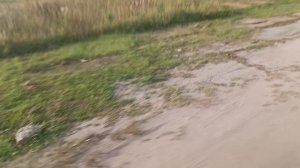 Приречный район