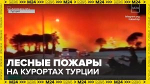 Лесные пожары произошли на популярных турецких курортах - Москва 24