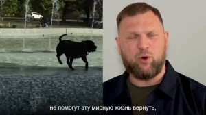 Российский военкор к полякам.
