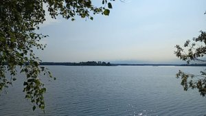 Участок 18 соток в д.Шарапиха Демянский район Новгородской области