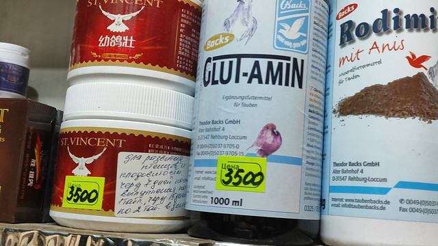 20.09.2025г Москва, Голубиный Рай Садовод !!! смотреть онлайн