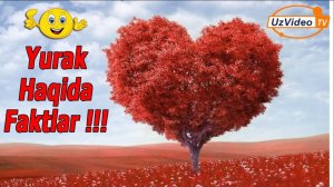 Yurak haqidagi eng qiziqarli faktlar !!!
