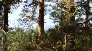 6. 2 Вторая гора (726 метров). 5 сентября 2025 года.