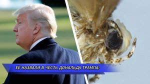 12 ЗВЕЗДНЫХ ТВАРЕЙ, названных в ЧЕСТЬ ЗНАМЕНИТОСТЕЙ