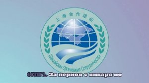 Китай сократил импорт российской нефти на 8,5% за январь-август 2024 года