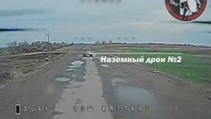 «Бешеные псы» Восстановлению не подлежит