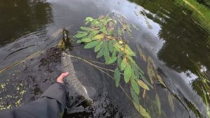 Прогулялся со спиннингом по красивой речке.  Отдохнул и неплохо отловился.
