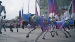 🤖 Обстановка в московском Зарядье