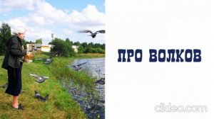 Про волков