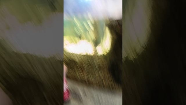 в честь 1,4 просмотров смотреть онлайн