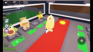 играю в укради браинрот